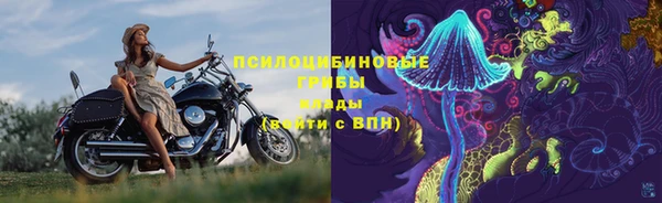 PSILOCYBIN Балабаново