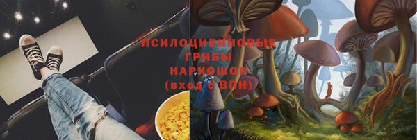 PSILOCYBIN Балабаново