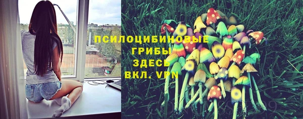 а пвп мука Балахна