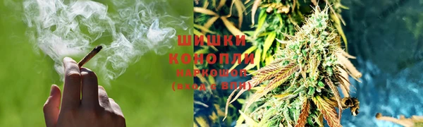 PSILOCYBIN Балабаново